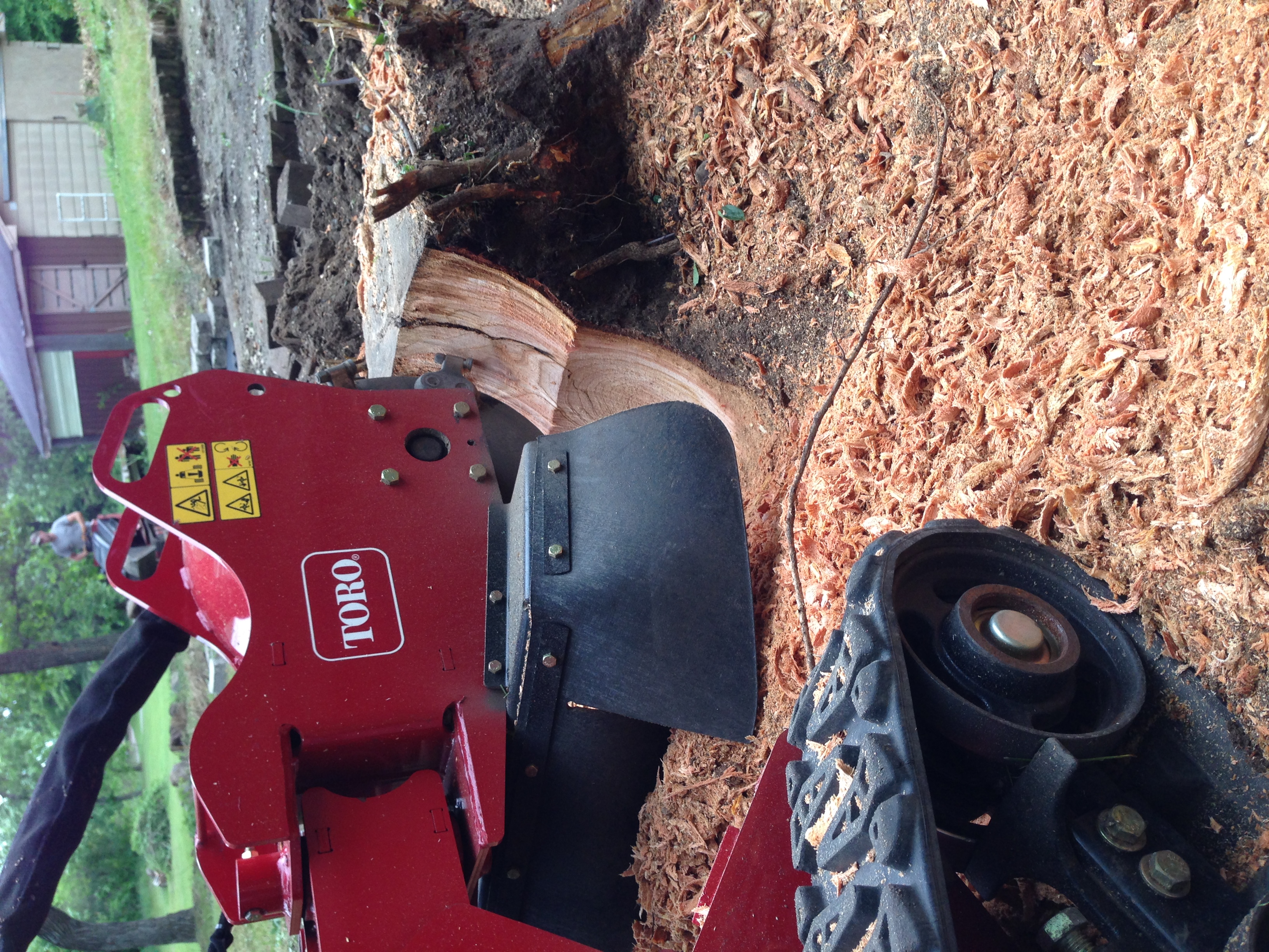 Stump grinding oak grove mn