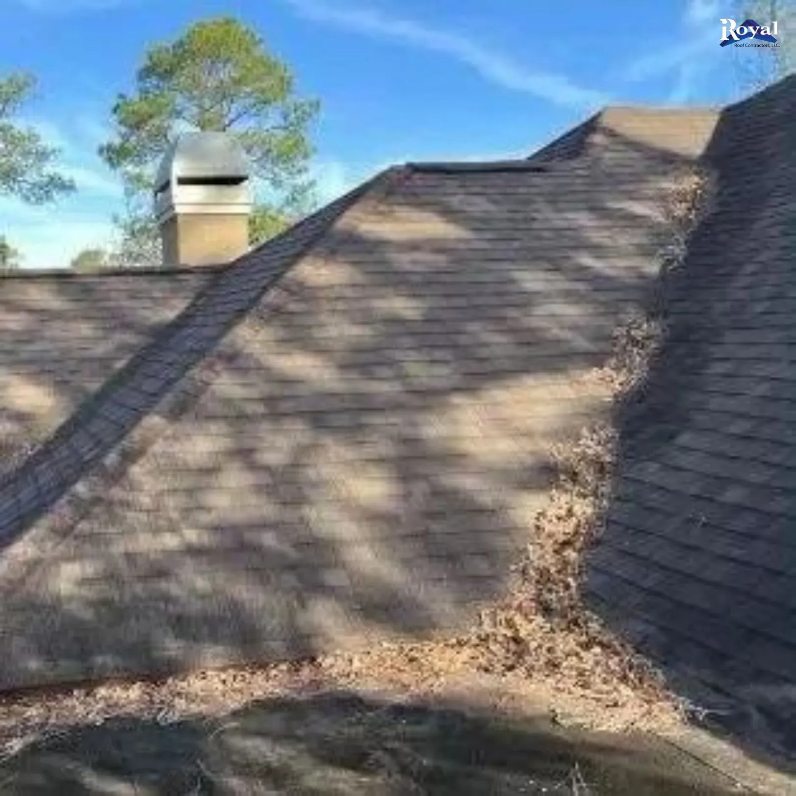 Before