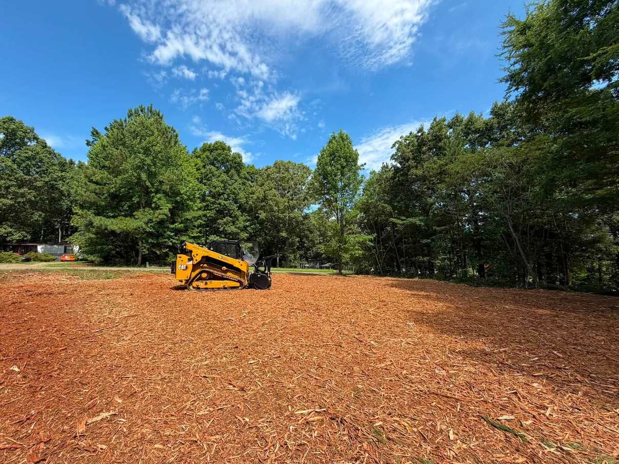 Cleared lot with brush and overgrowth removed, ready for its next use