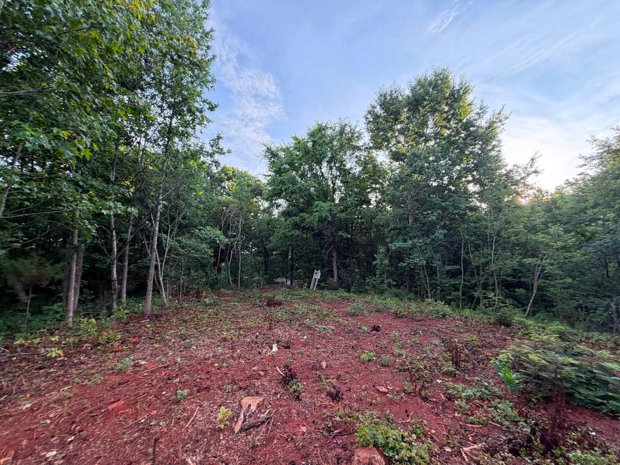1 Acre Cleared & Mulched — Ready for a New Double Wide — photo 1 of 6