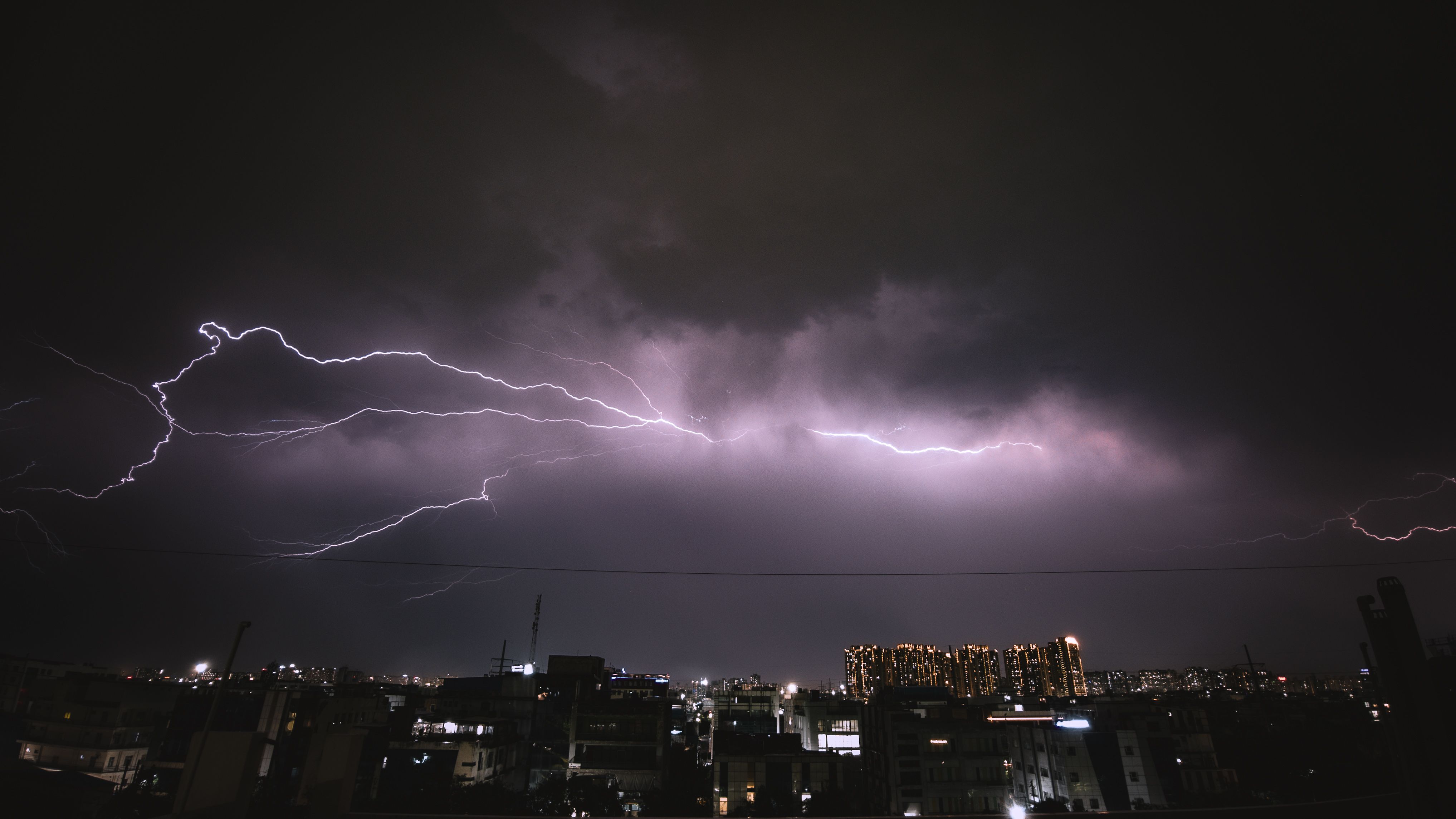 https://images.pexels.com/photos/37160152/pexels-photo-37160152.jpeg