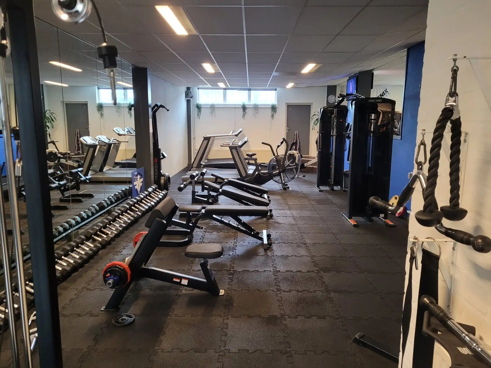 Trainen bij Fenix Fitness in Berlicum