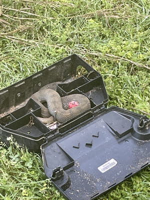 {{ custom_values.service_2 }} in {{custom_values.area_1})