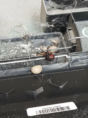 {{ custom_values.service_1 }} in {{custom_values.area_3})