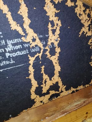 {{ custom_values.service_2 }} in {{custom_values.area_2})