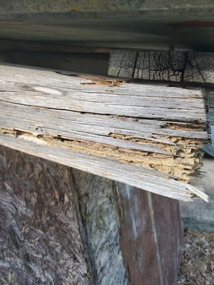 {{ custom_values.service_1 }} in {{custom_values.area_2})