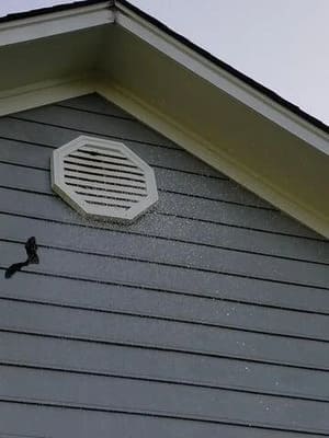 Termite control in Florence