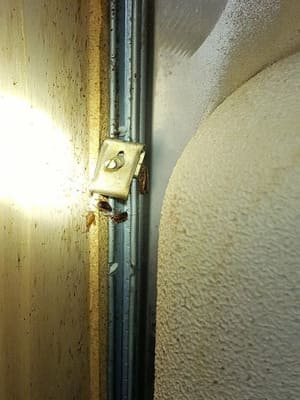 {{ custom_values.service_2 }} in {{custom_values.area_4})