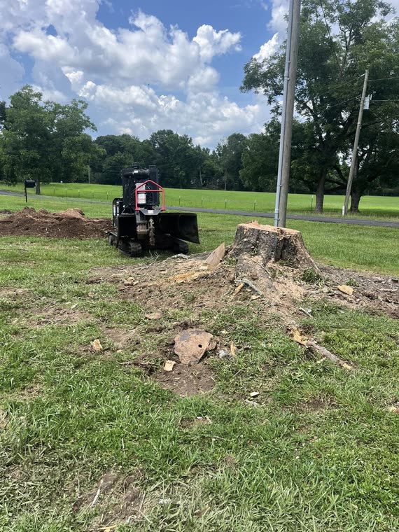Burton Stump Removal grinder parked behind a large fresh-cut stump on an open lawn