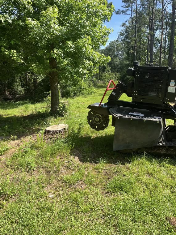 Burton Stump Removal grinder working a cut stump beside a shade tree at the edge of a yard