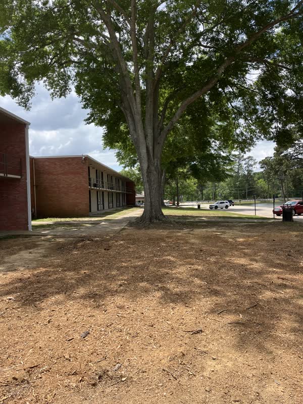 The same area with the large stump ground out and the ground raked smooth and level