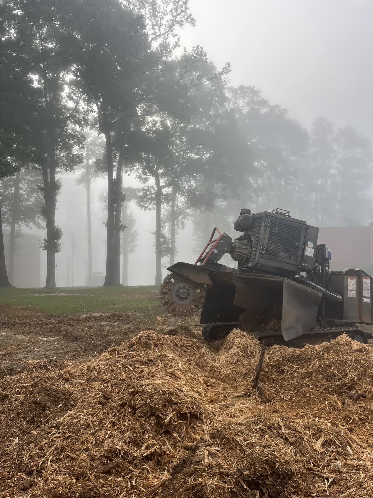 A Burton Stump Removal grinder throwing chips and dust as it cuts down a large stump