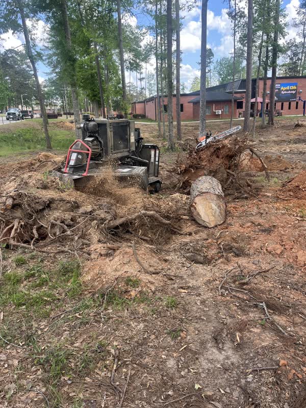 A Burton Stump Removal grinder working a large root mass down to grade on a job site