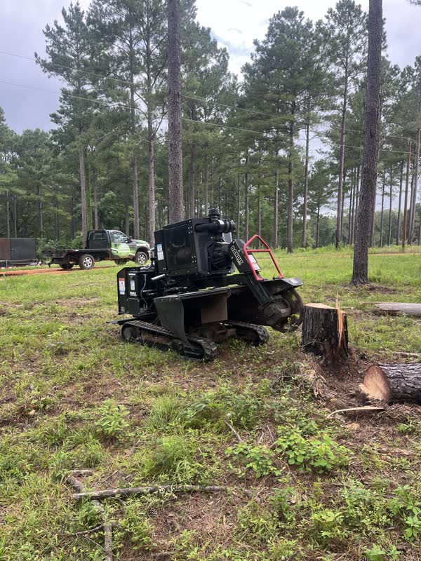 Burton Stump Removal grinder working a stump on a property lined with pines