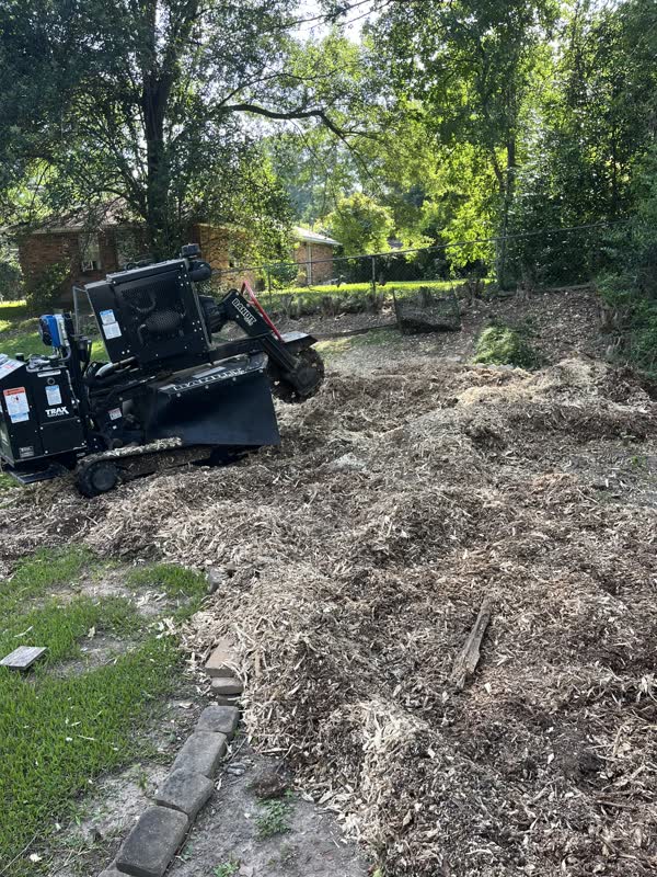 Burton Stump Removal grinder working a stump in a residential back yard
