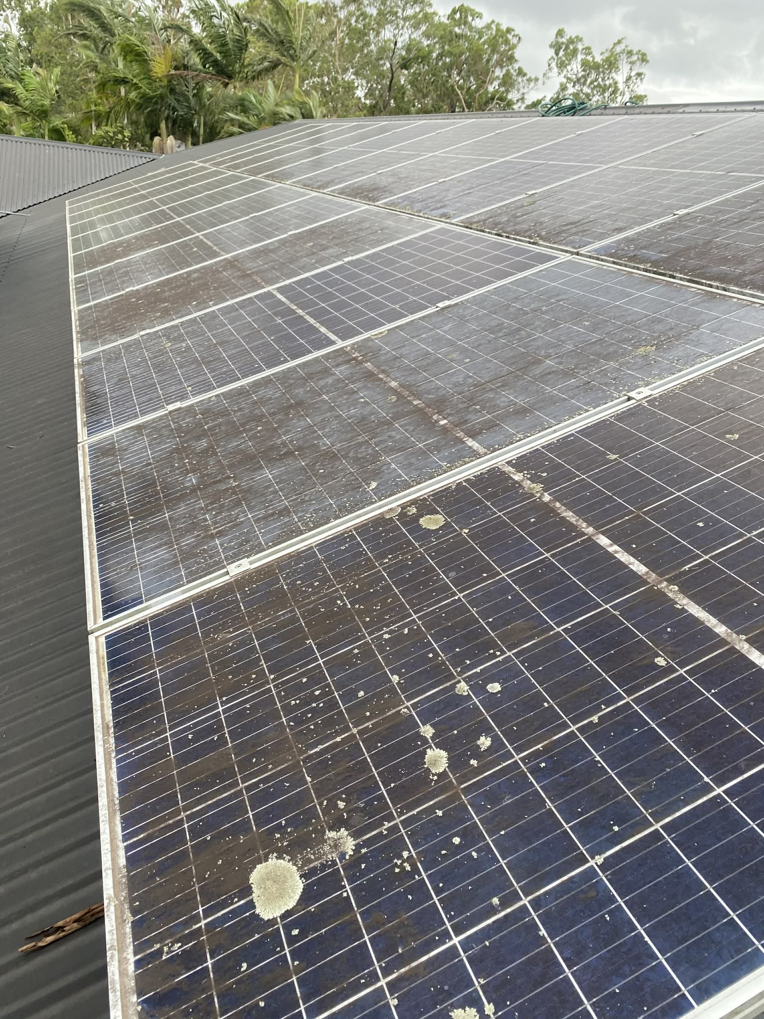 Solar panels before cleaning