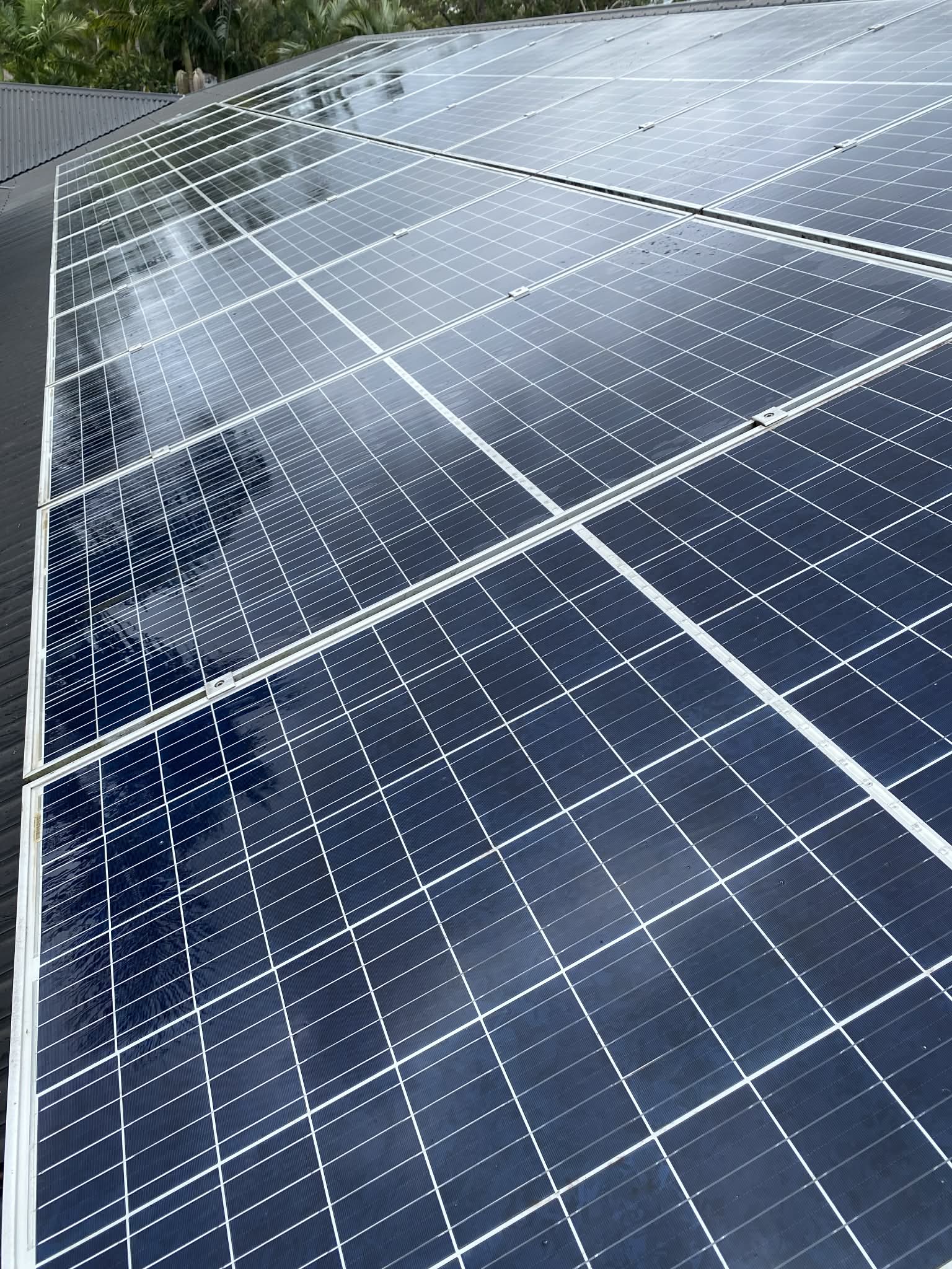 Solar panels after cleaning
