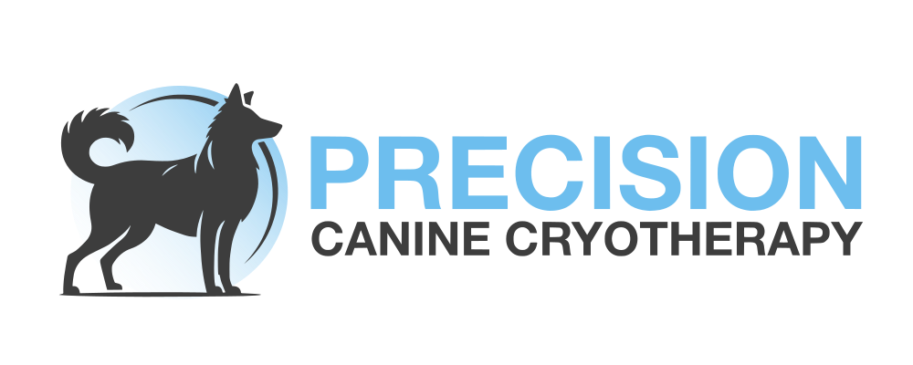 Precision Equine Logo