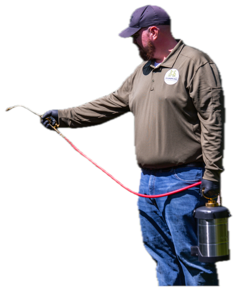 Zero Pest technician treating the yard around a home