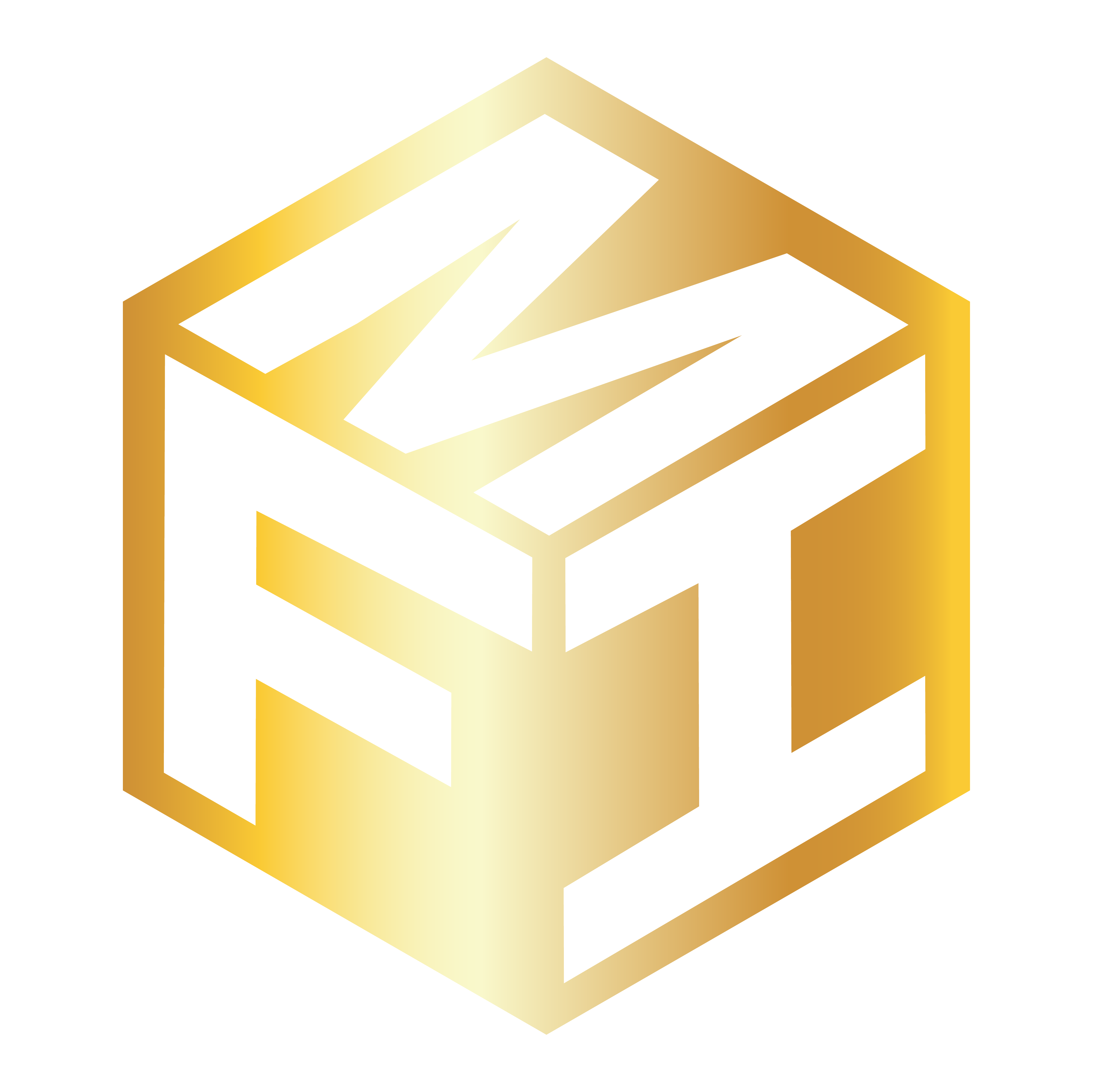 MFI Logo