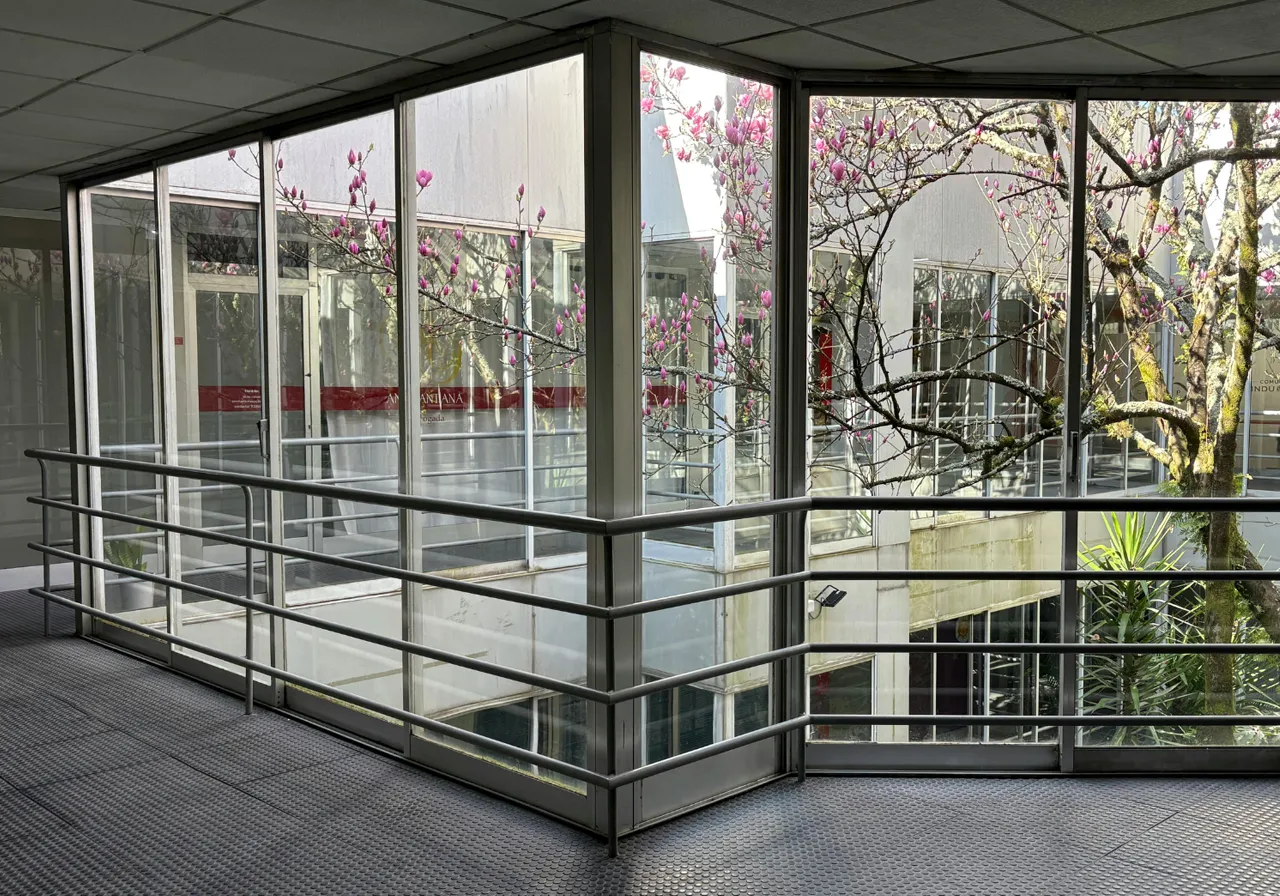 Window Restoration