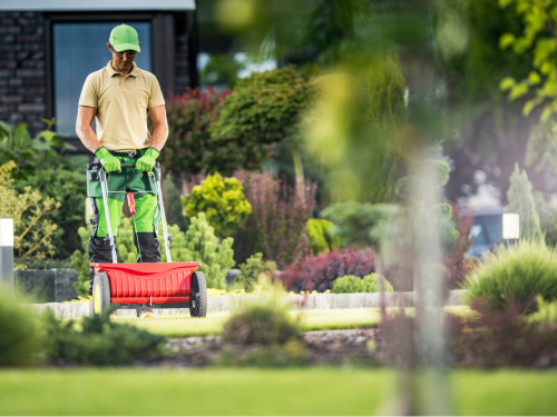 {{ custom_values.service_1 }} in {{custom_values.biz_area_1})