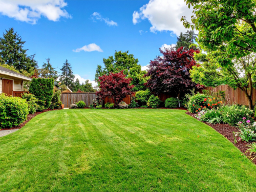 Landscape in Sarasota