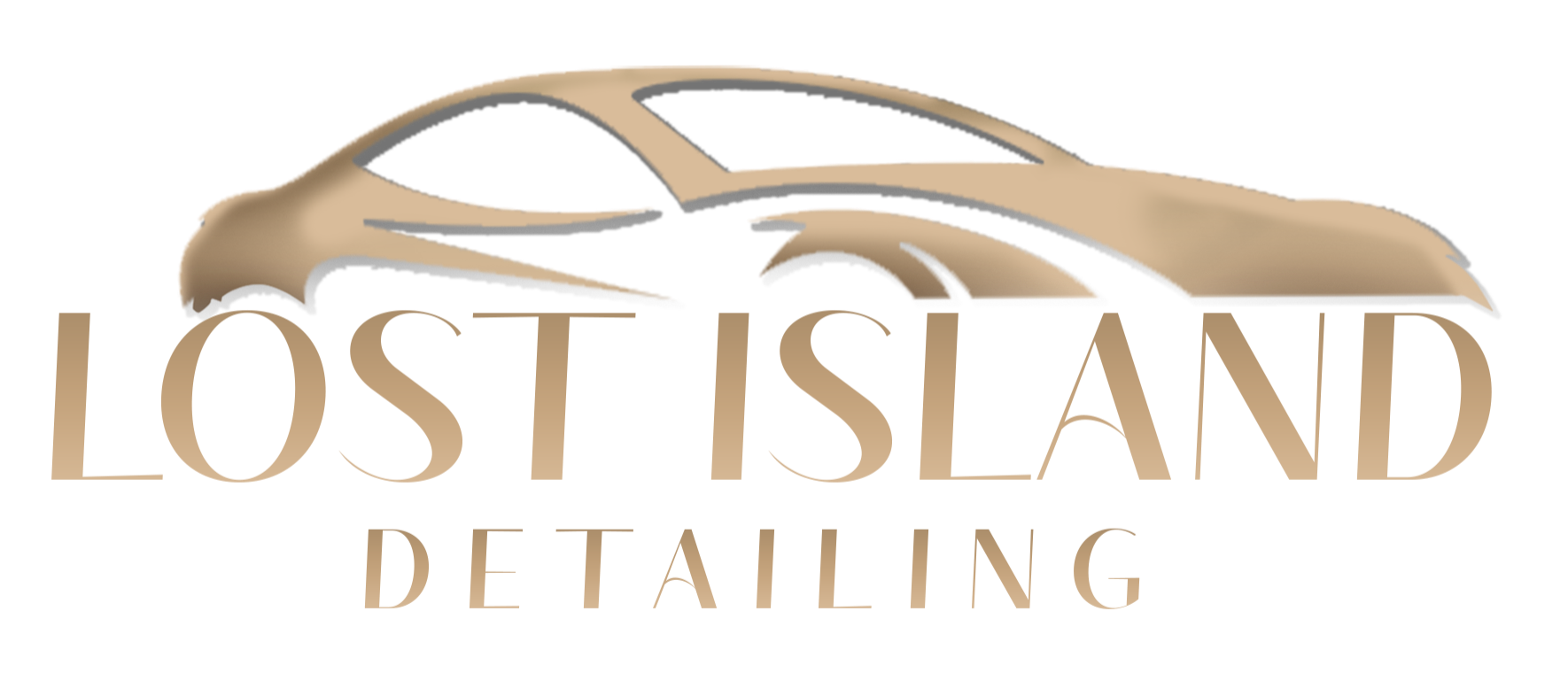 Lost Island Detailing Logo