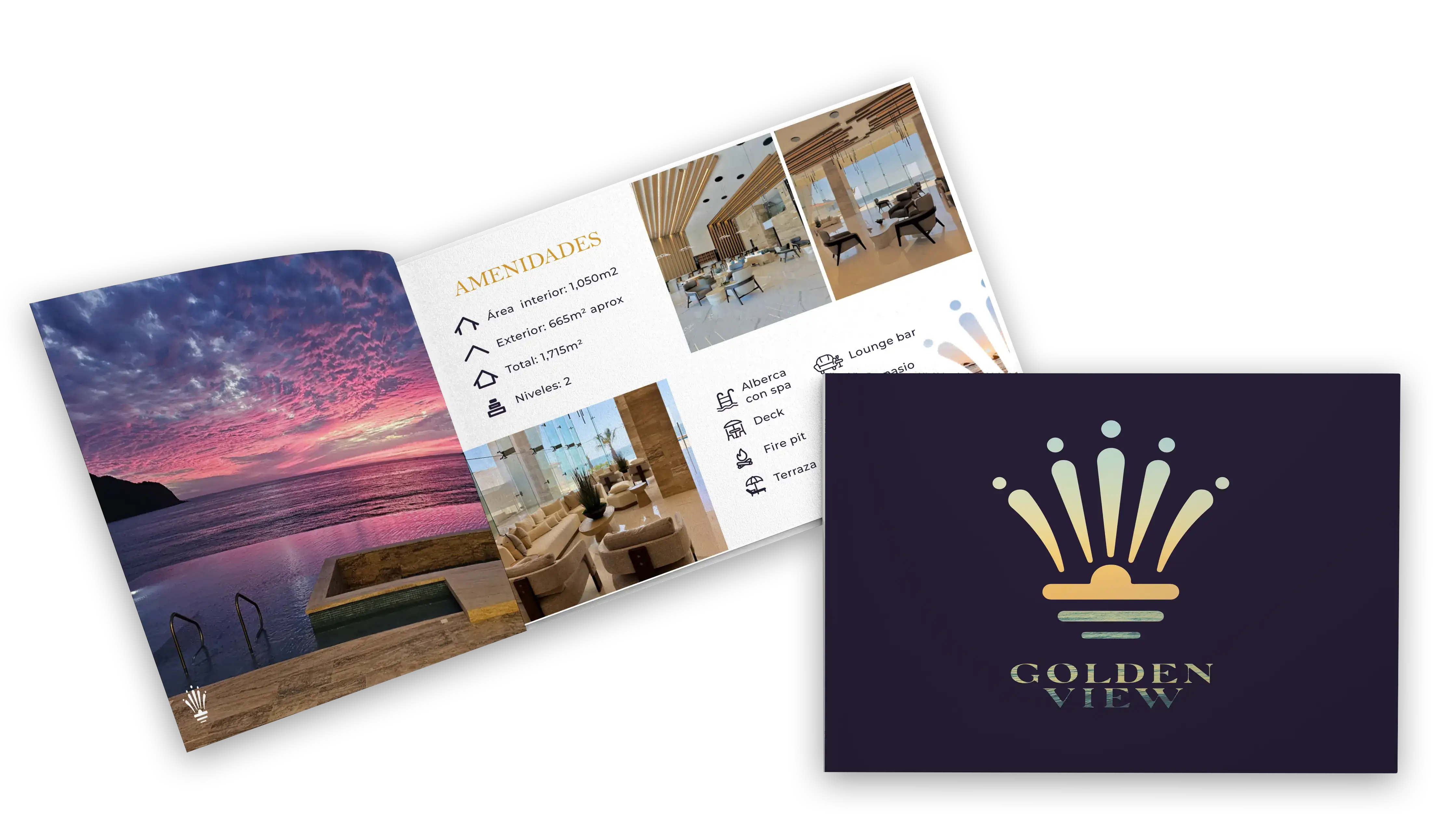 ¡Descarga el brochure hoy!