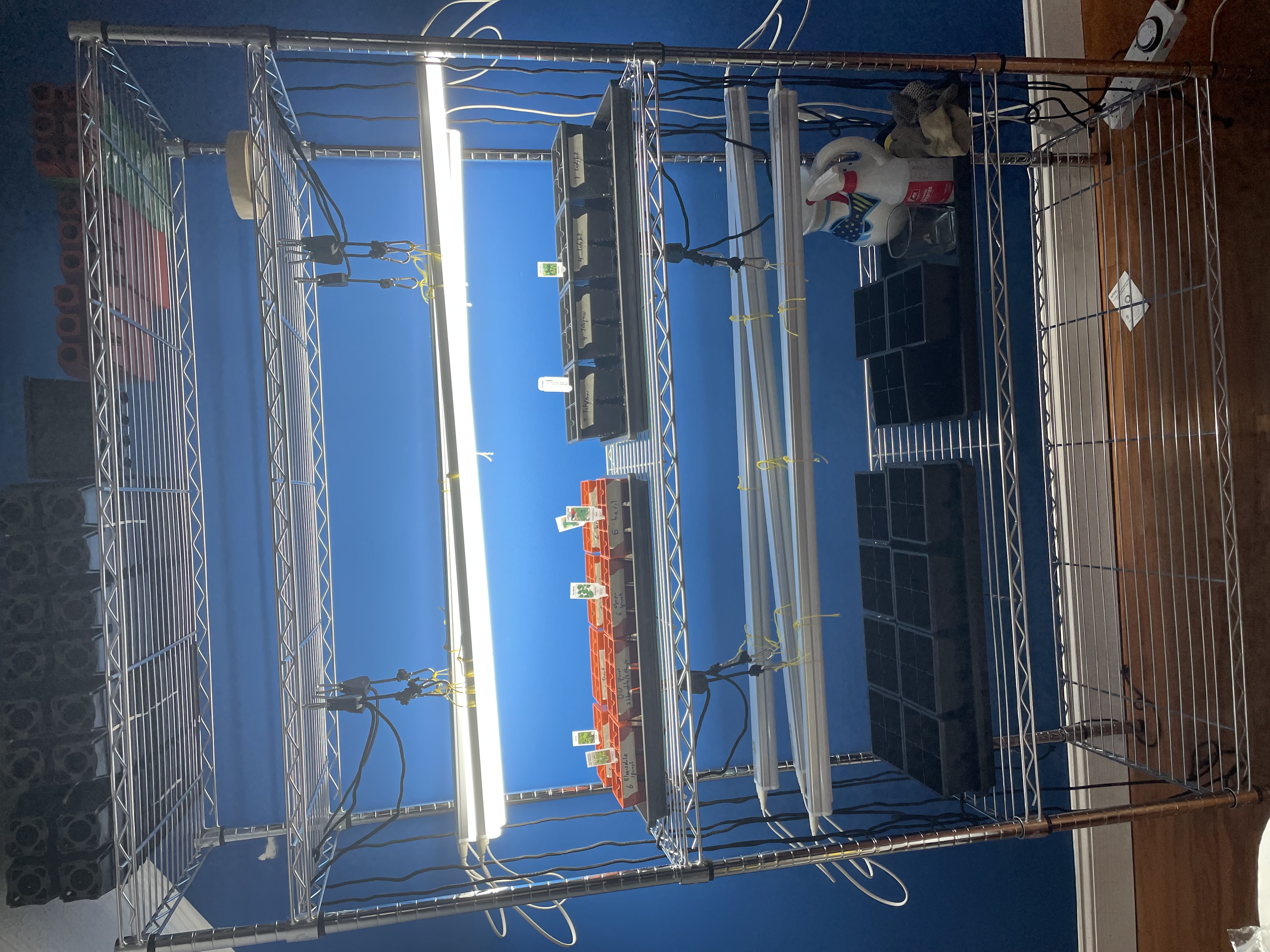 2026 Culver Peds Garden Prep