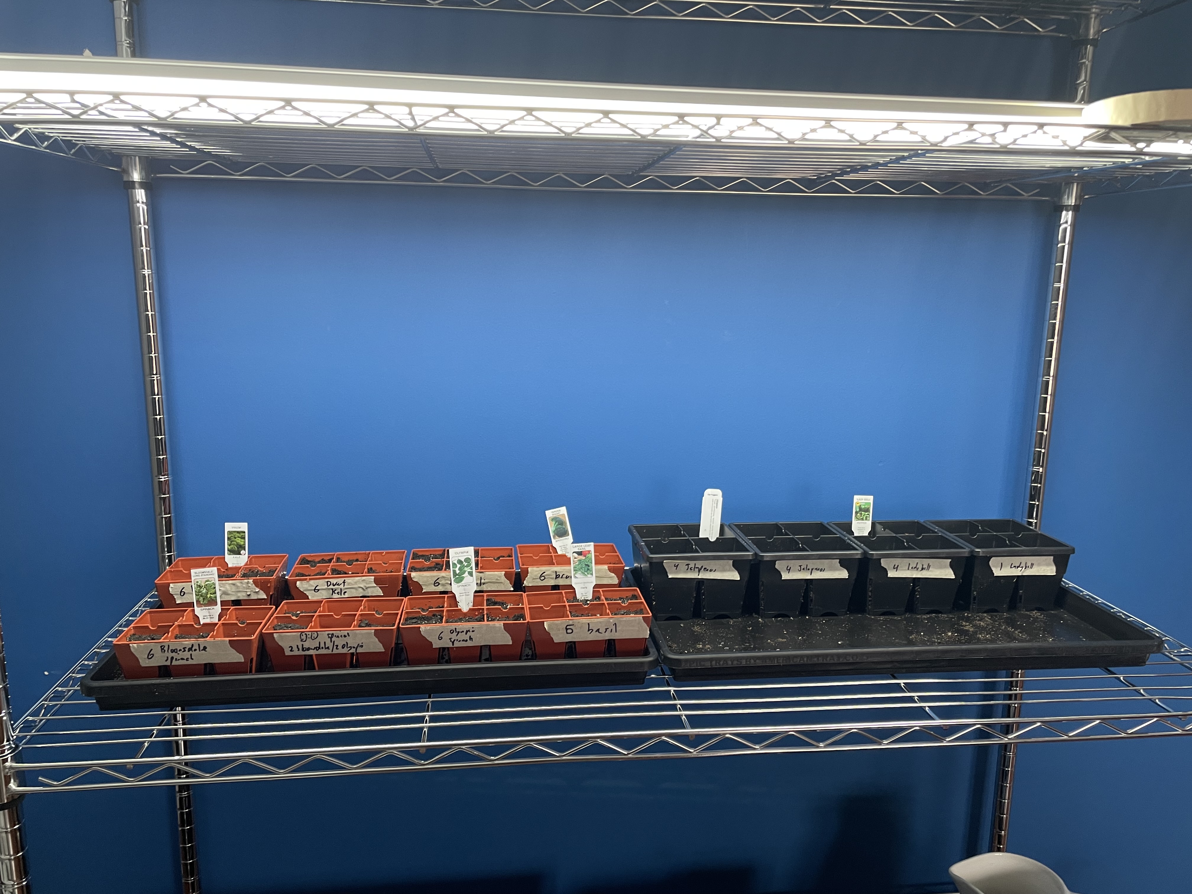 2026 Culver Peds Garden Prep