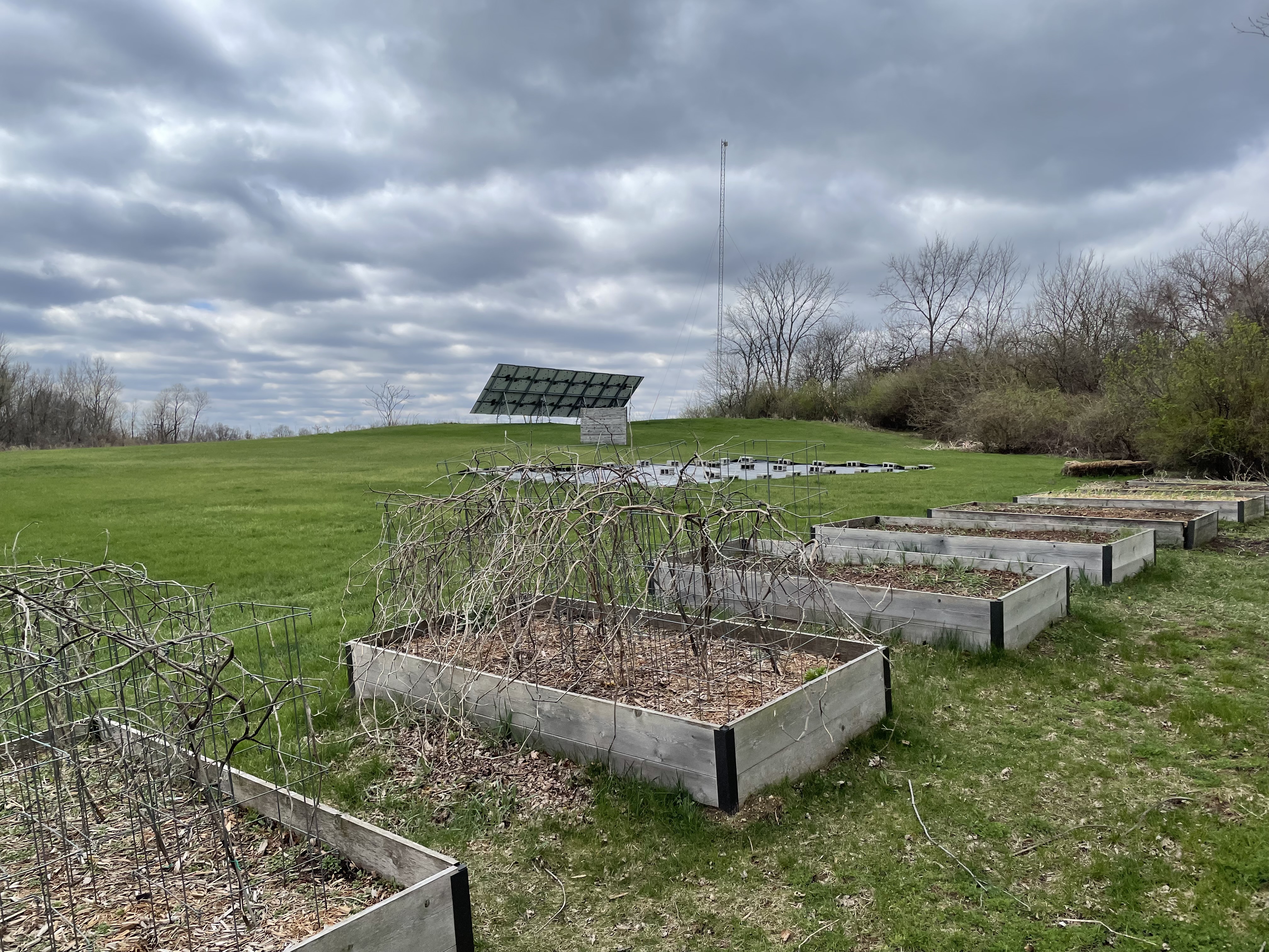 Culver Peds Property