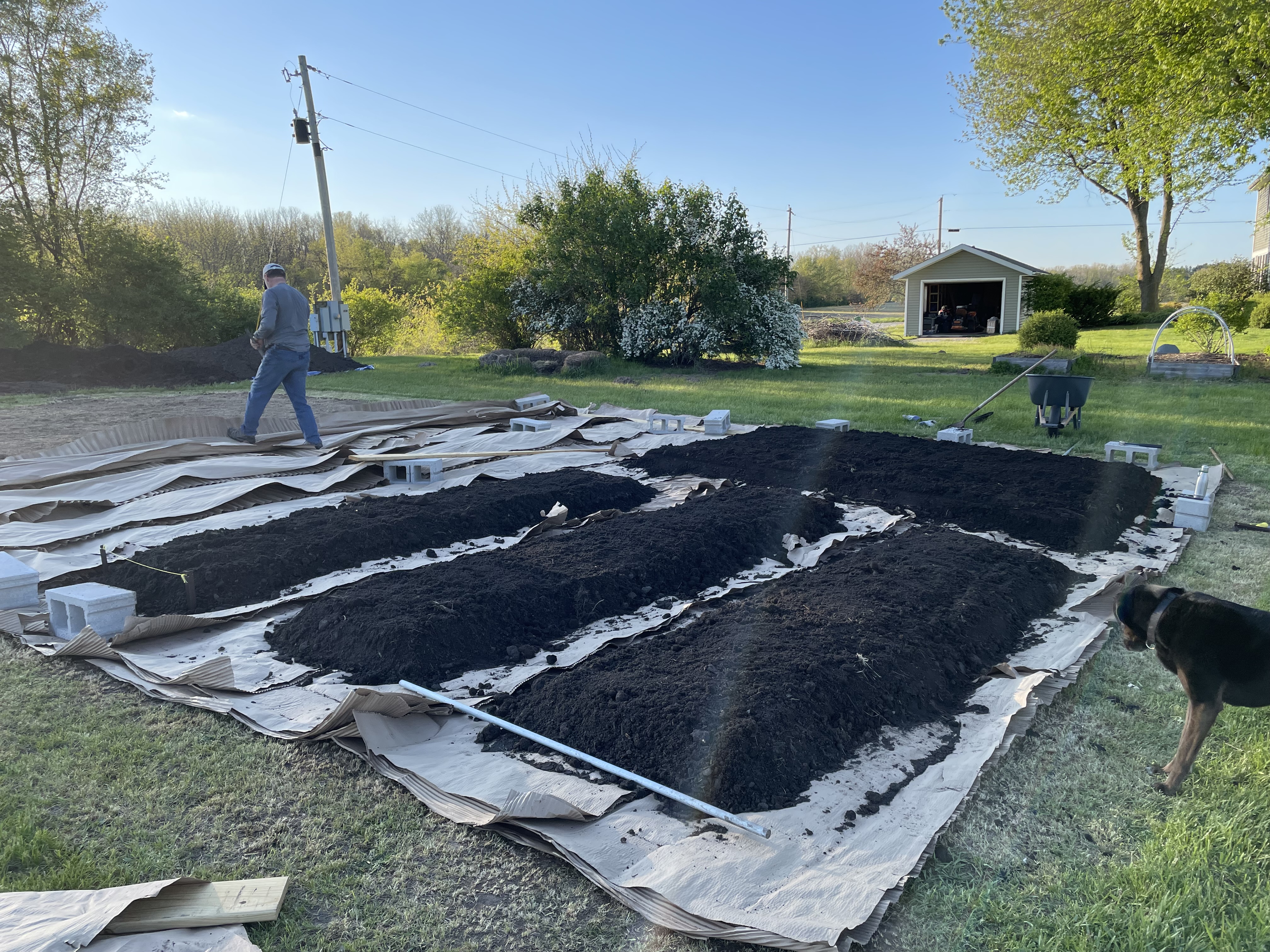 Garden Beds