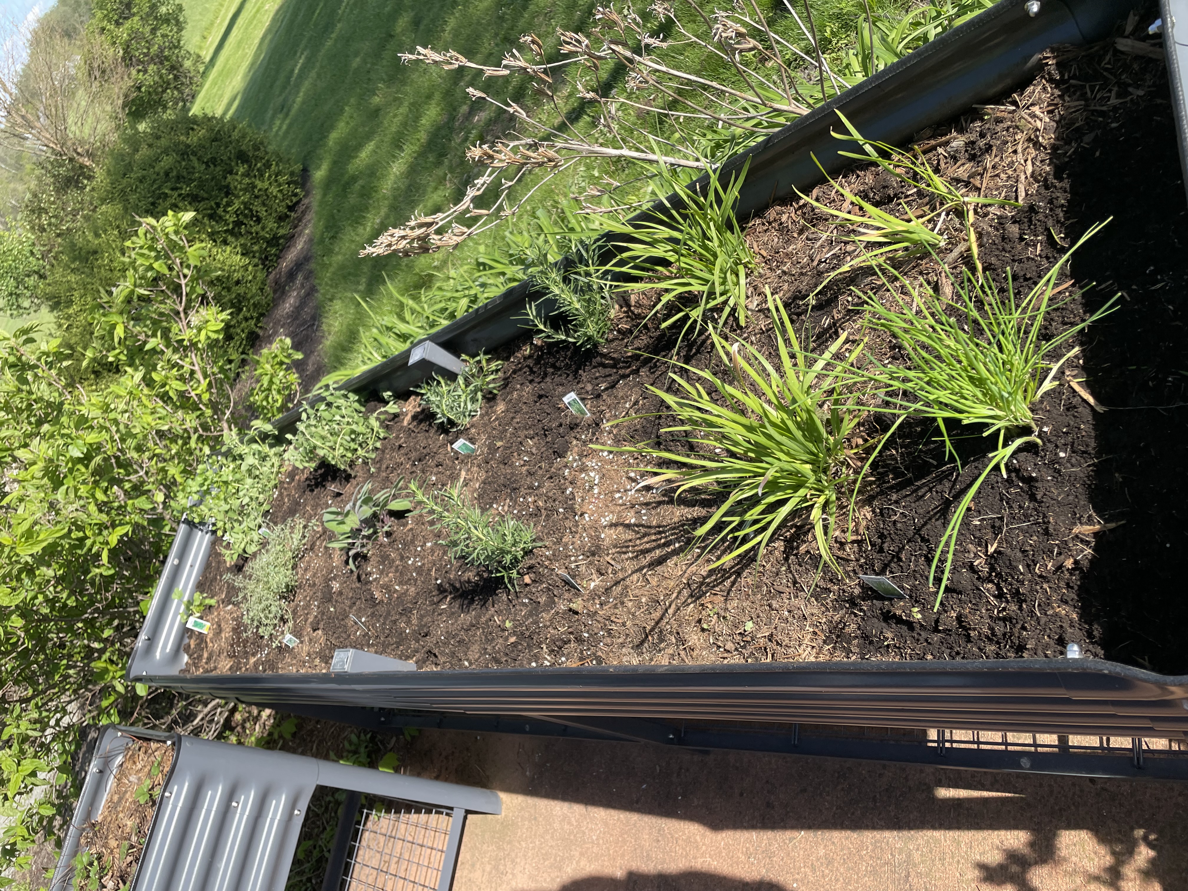 Herb Garden