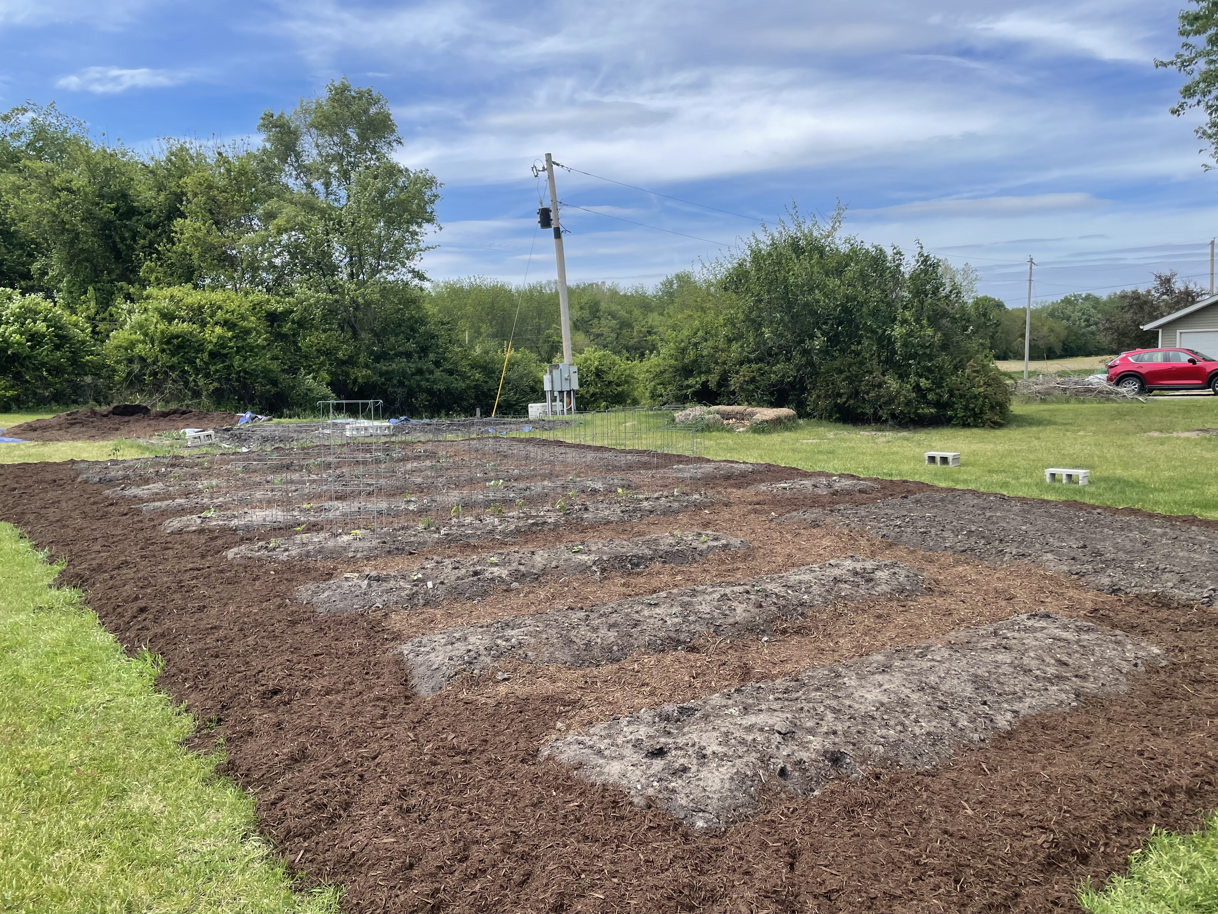 Planted No Till Garden