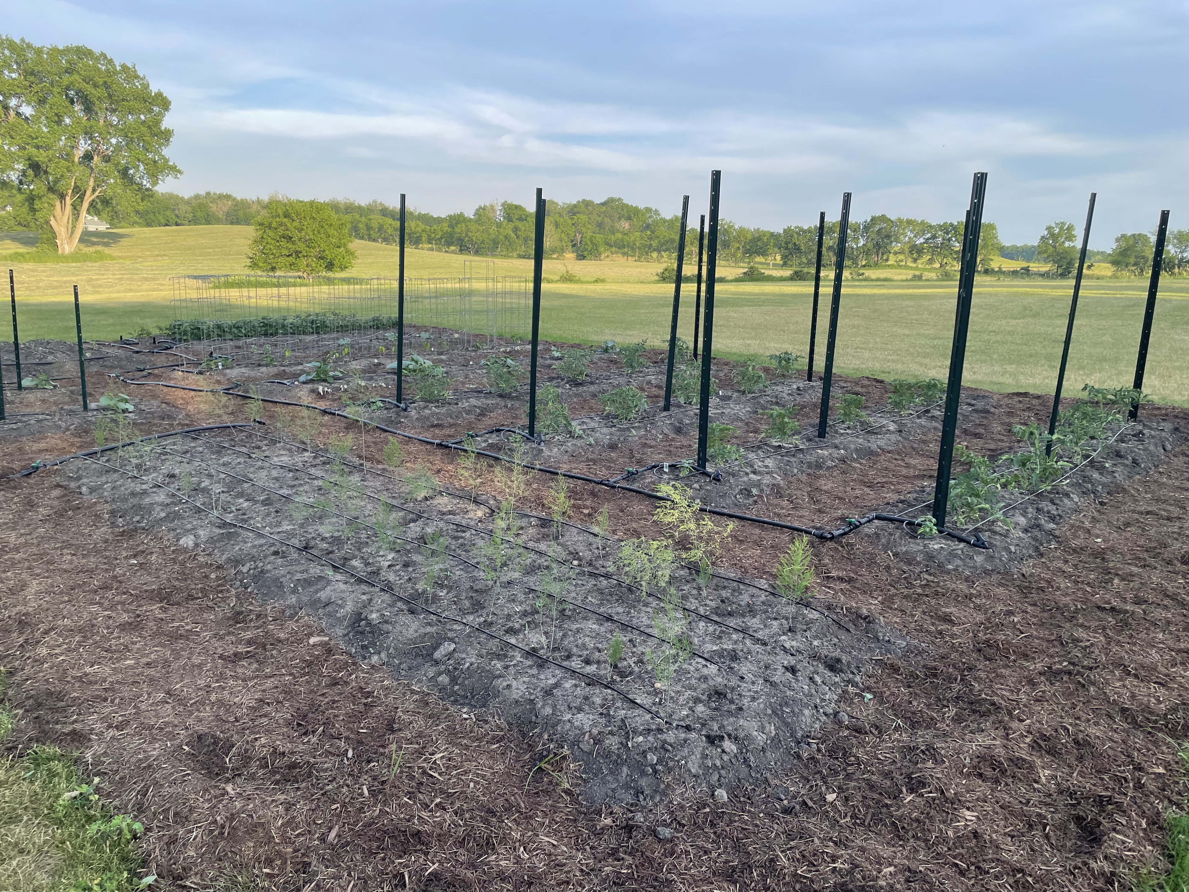 Irrigation System