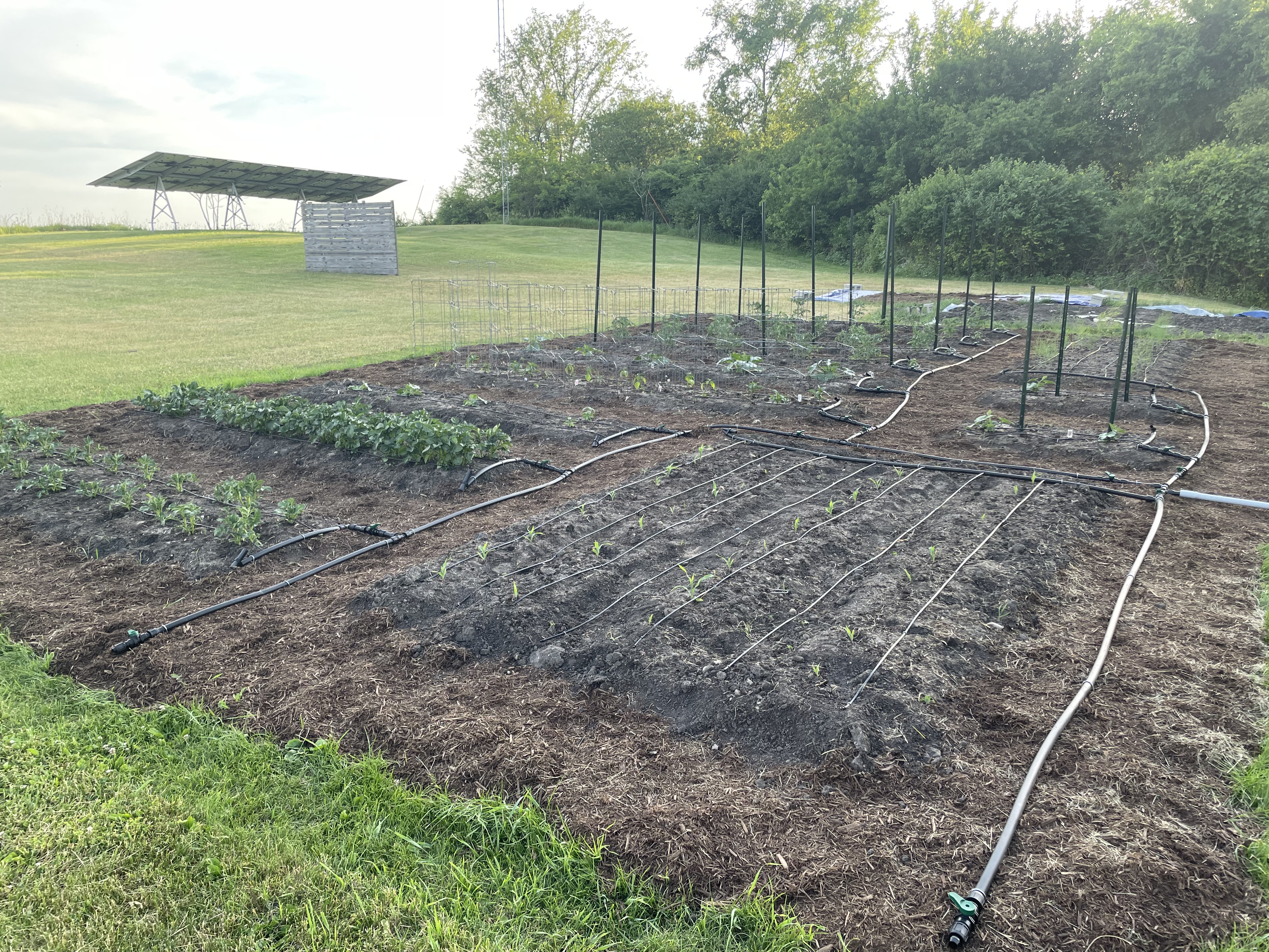 Culver Pediatrics Center Irrigation System