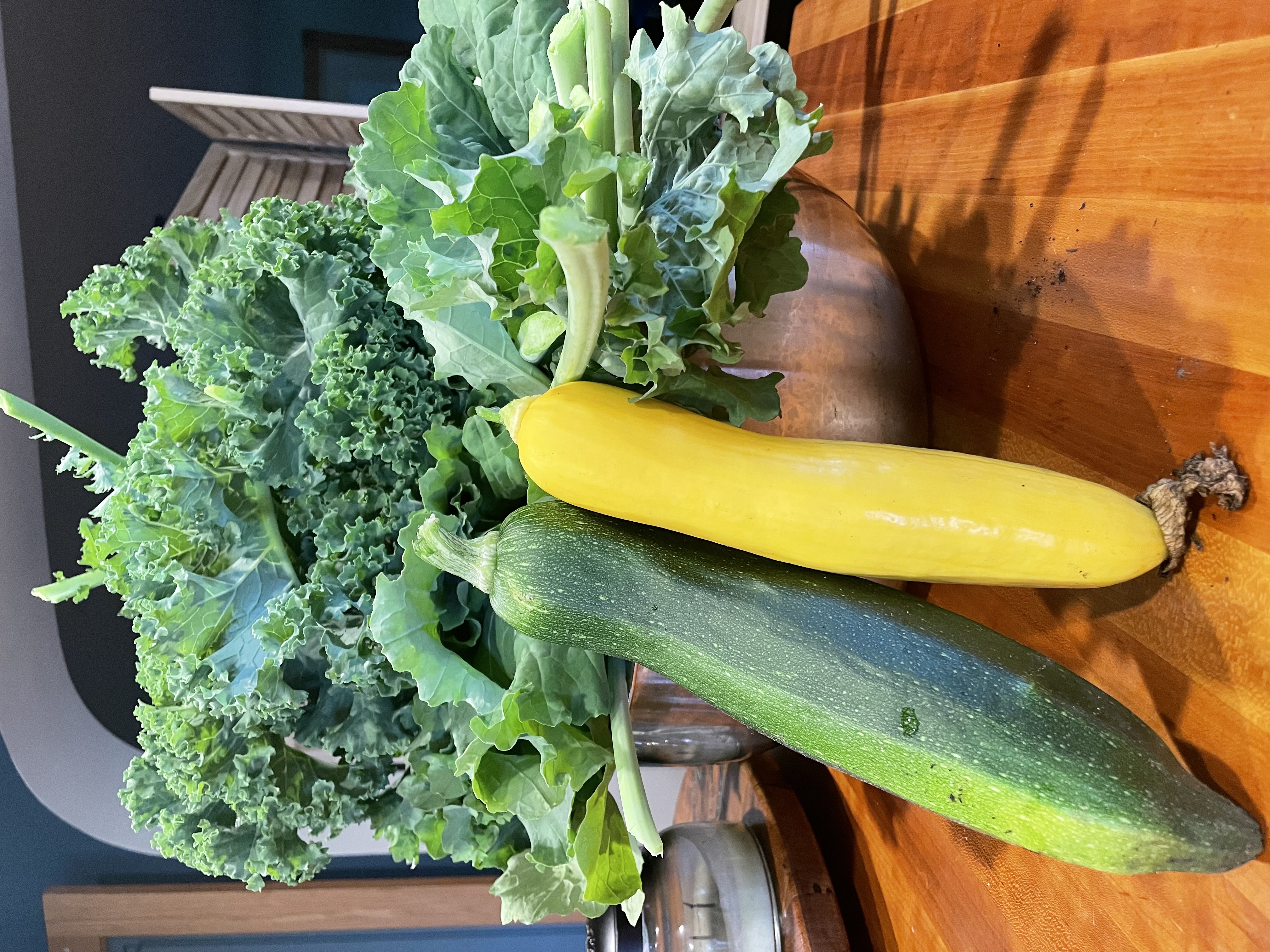 Kale and Zucchini From Our Garden Kale and Zucchini From Our Garden