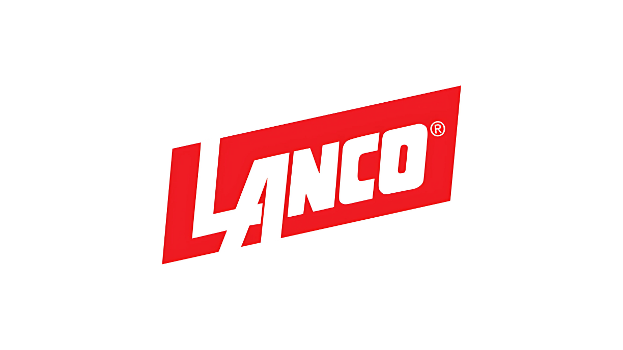 Sellado de Techo con Lanco