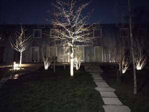 {{ custom_values.service_1 }} in {{custom_values.area_5})