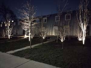 {{ custom_values.service_4 }} in {{custom_values.area_4})