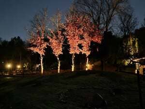 Sprinkler Startups in Farmington/Farmington Hills