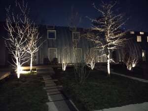 {{ custom_values.service_3 }} in {{custom_values.area_4})