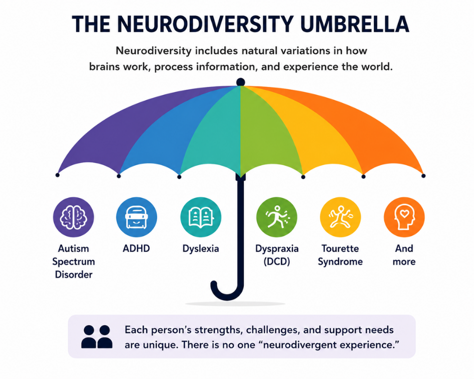 Neurodiversity umbrella infographic illustrating autism, ADHD, dyslexia, dyspraxia, Tourette syndrome, and other neurodivergent experiences for neurodiversity-affirming therapist training.