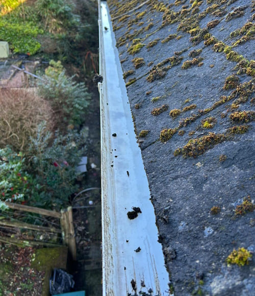 Professional Gutter Cleaning Crediton