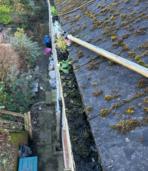 Before Gutter Cleaning Crediton