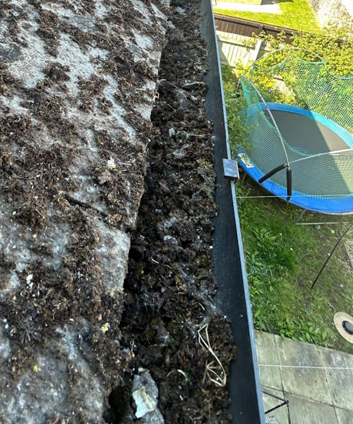 Before Gutter Cleaning Crediton