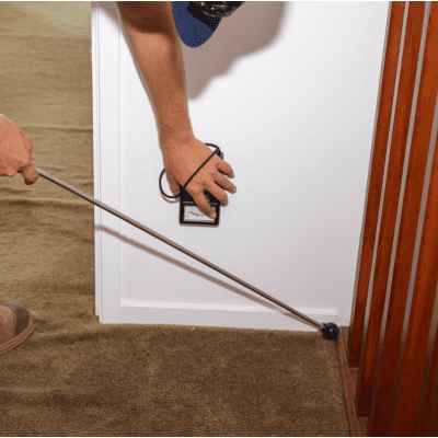 pest control in Maryland