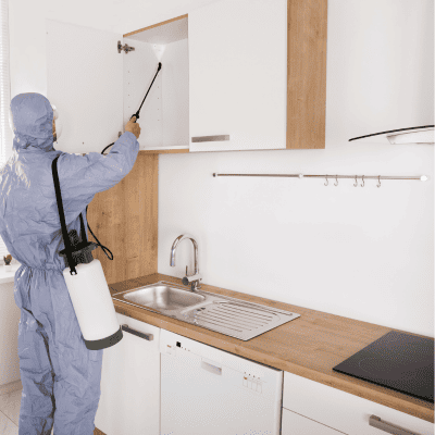 General Pest Control in District of Columbia