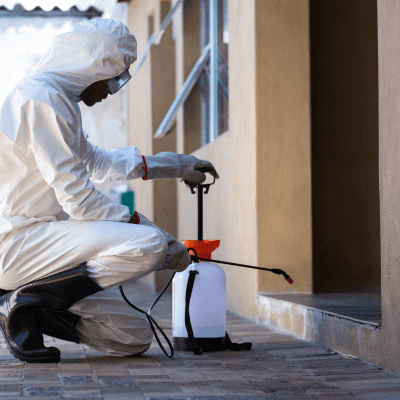 Bed Bug Treatment in Maryland